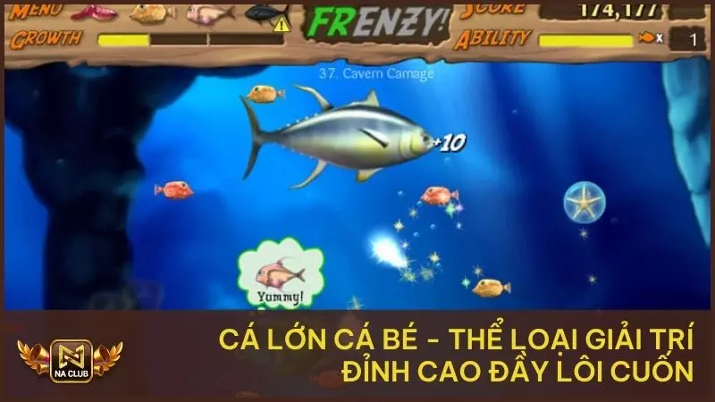 Cá Lớn Cá Bé – Thể Loại Giải Trí Đỉnh Cao Đầy Lôi Cuốn