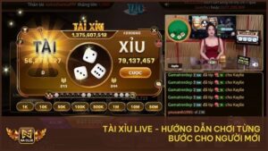 Tài Xỉu Live - Hướng Dẫn Chơi Từng Bước Cho Người Mới